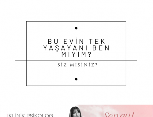 Bu Evin Tek Yaşayanı Siz Misiniz? Bir Dönüp Bakalım…